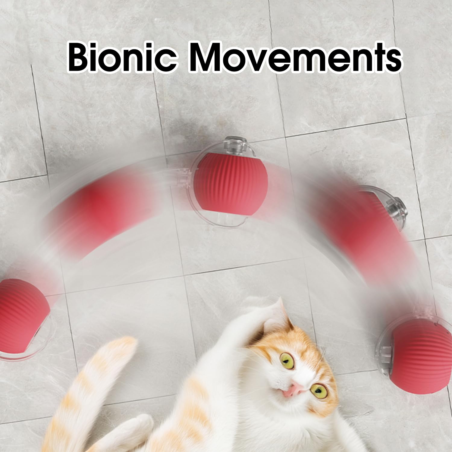 RolliePet smart chase pet toy ball