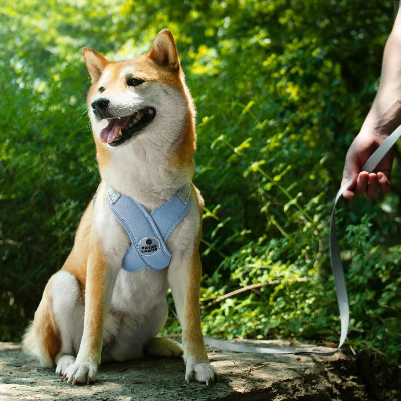 Reflective Mesh Pet Harness with Leash – No-Choke Design for Dogs