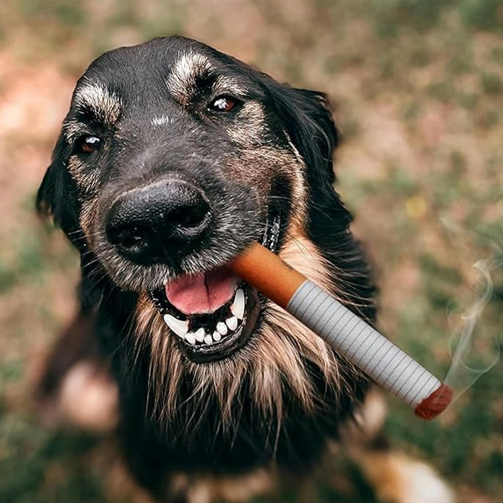 Cuddle Ciggy Plush Cigarette Dog Toy Set