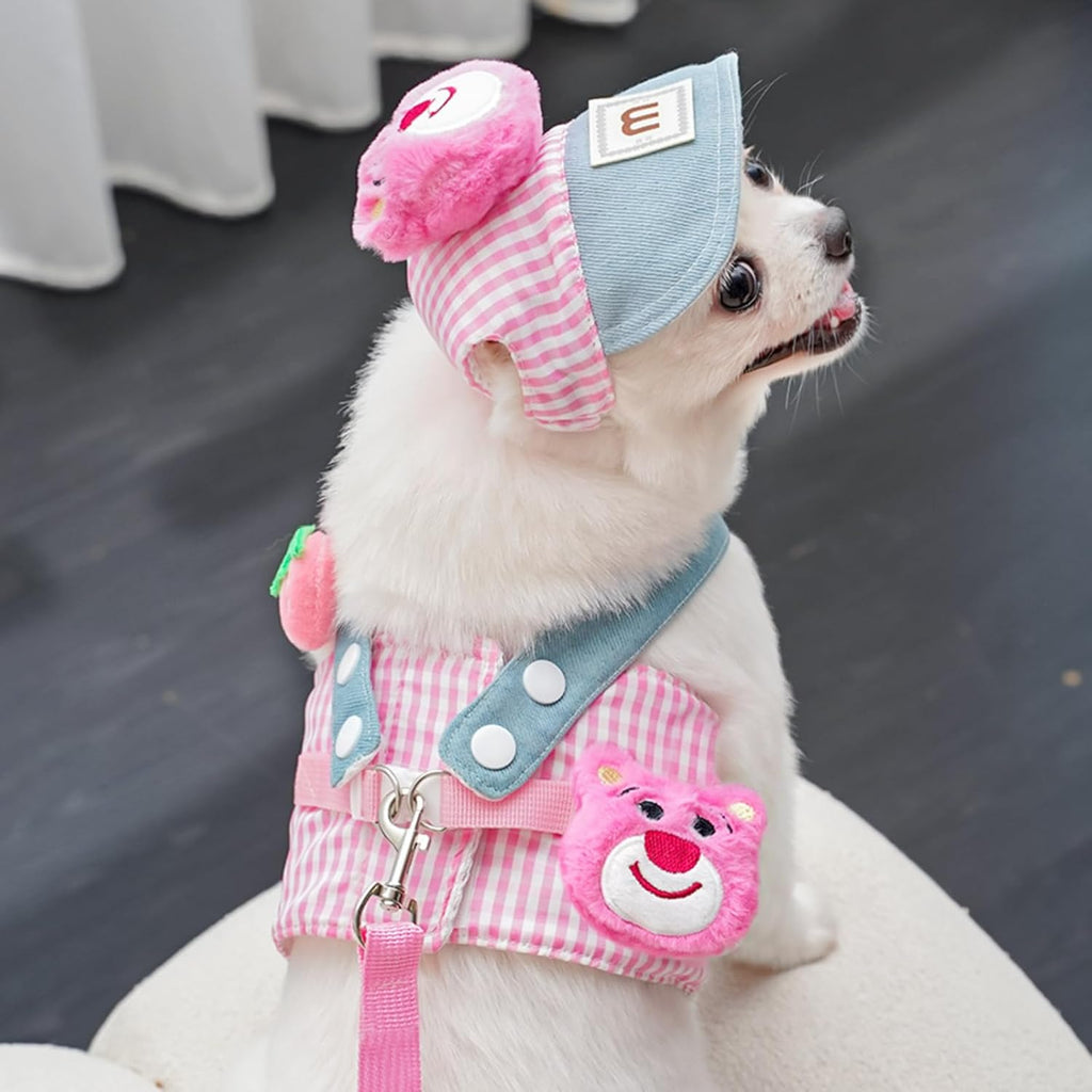 3-in-1 Pet Harness Set with Sun Hat & Leash