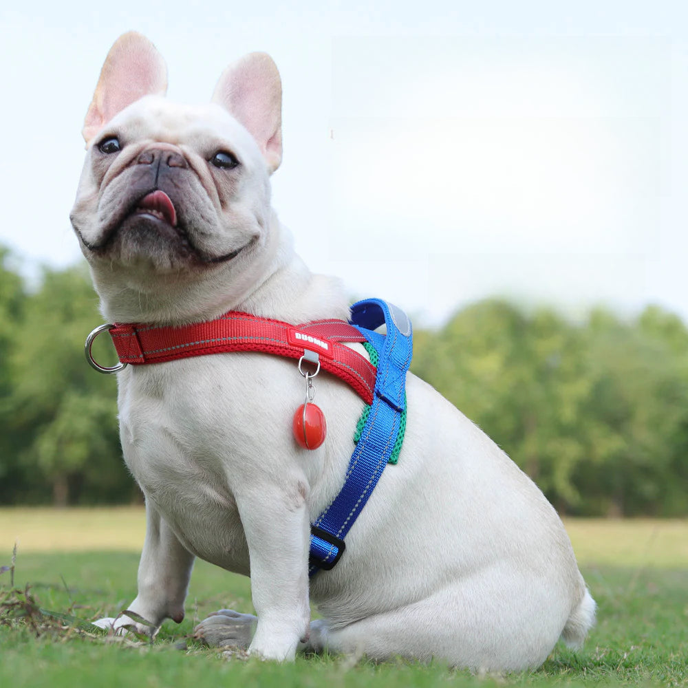 Reflective No-Pull Dog Harness