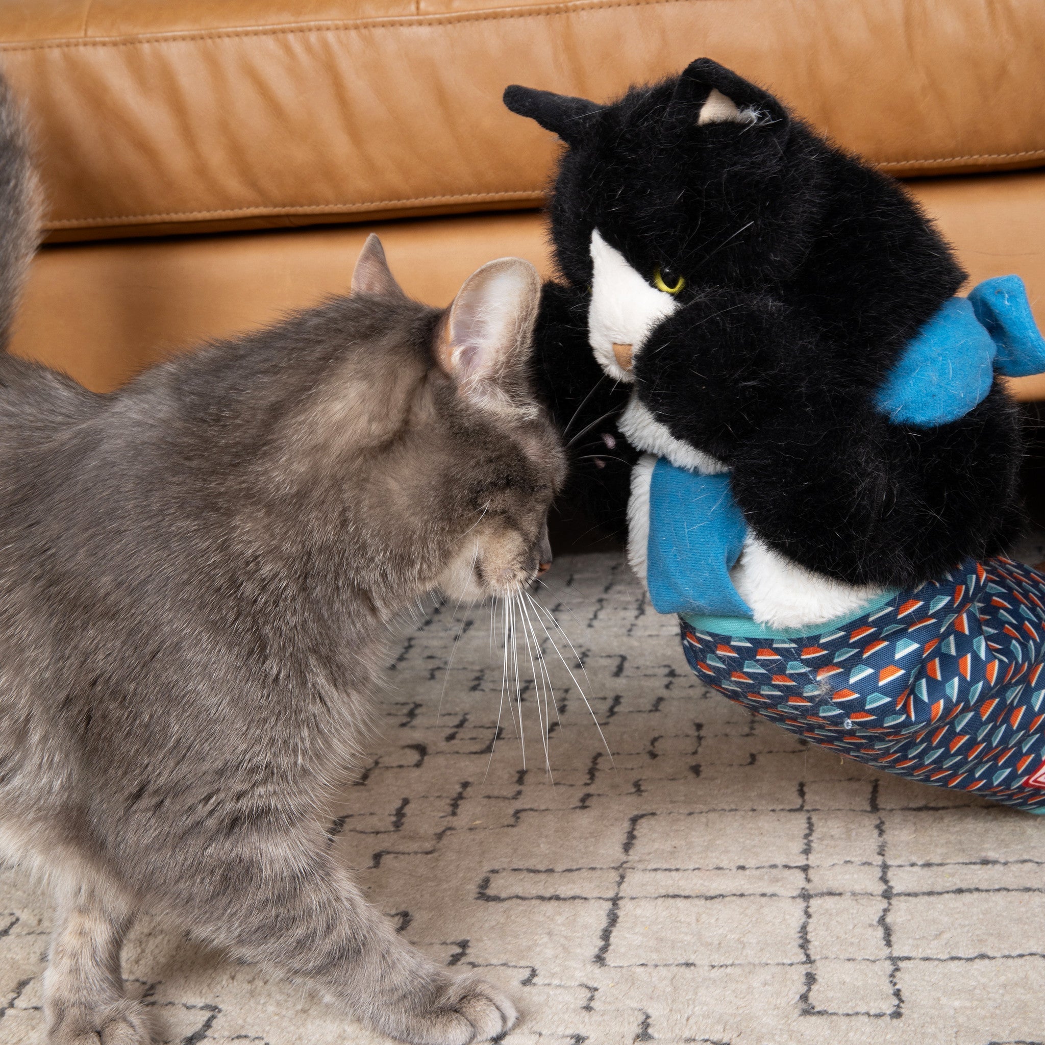 YoPoll Cat Wrestling Glove