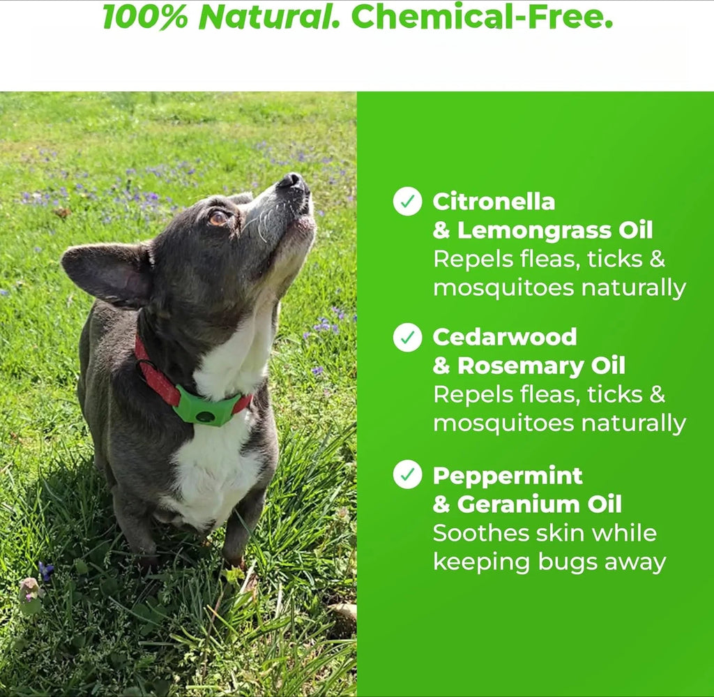 Waterproof Chemical-Free Tick Repellent Tag