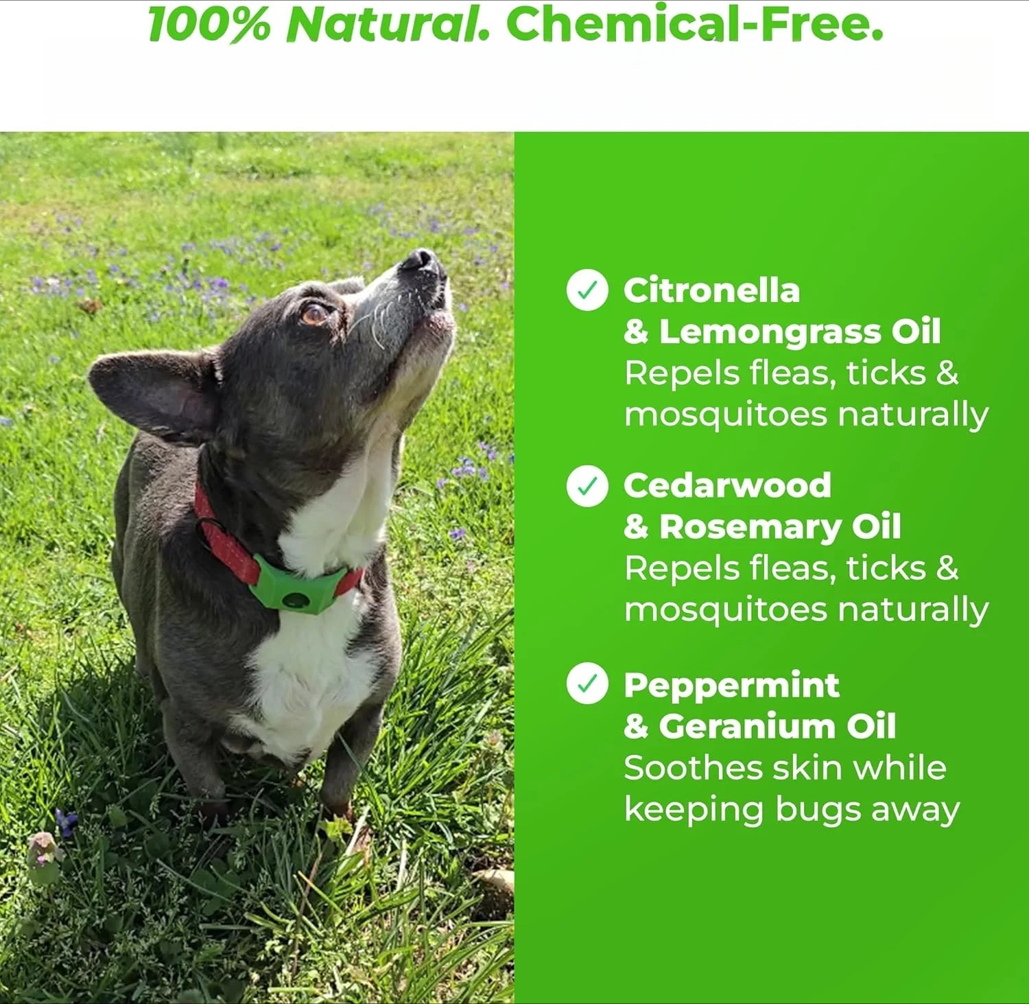 Waterproof Chemical-Free Tick Repellent Tag